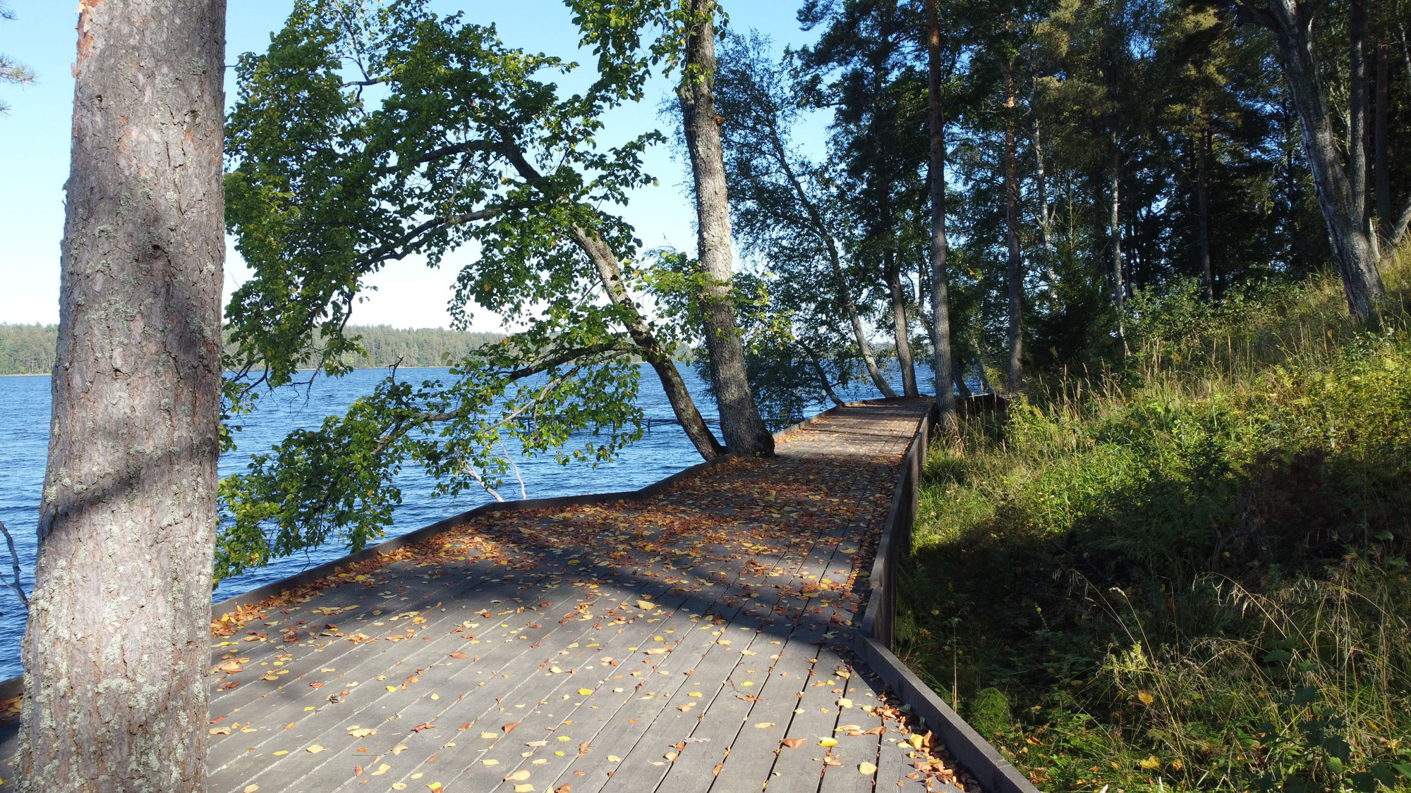 https://api.parabola-group.ru/uploads/images/68f0d2f2cc5ba748171166.JPG