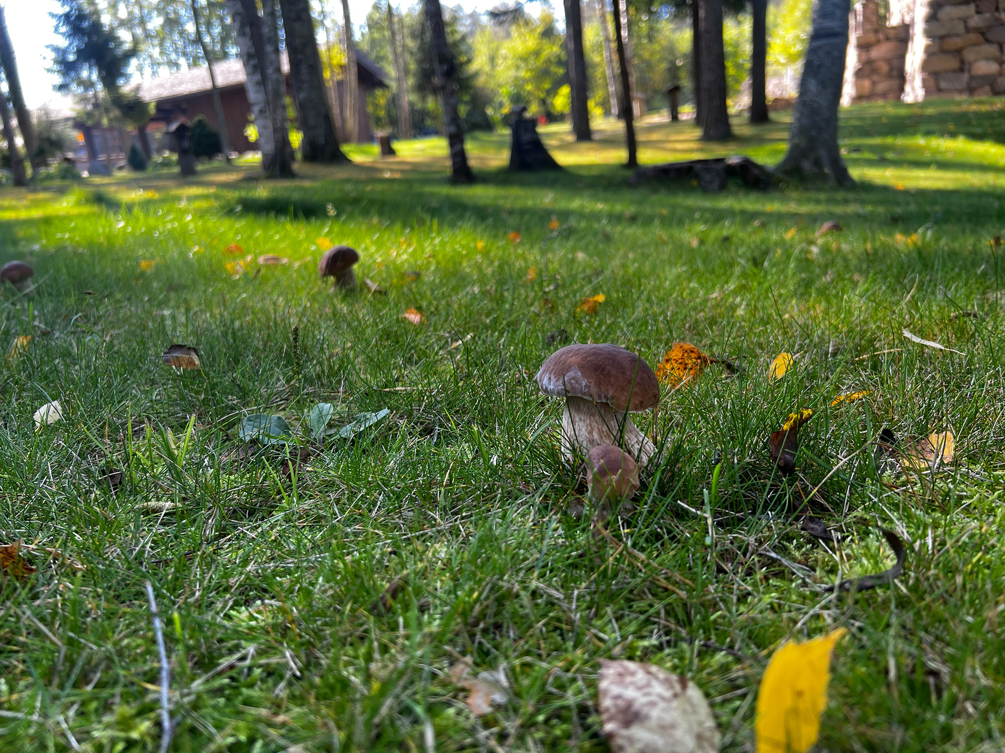 https://api.parabola-group.ru/uploads/images/68f0d2f2ccc92824281666.jpg